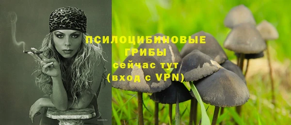 эйфоретик Медногорск