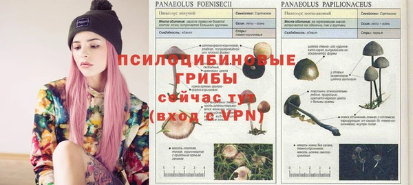 эйфоретик Медногорск